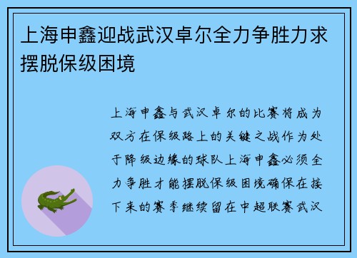 上海申鑫迎战武汉卓尔全力争胜力求摆脱保级困境 上海申鑫迎战武汉卓尔全力争胜力求摆脱保级困境